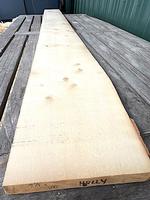 Holly 4/4 Lumber - ** 9-1/8" x 100" **  (Luthiers!)
